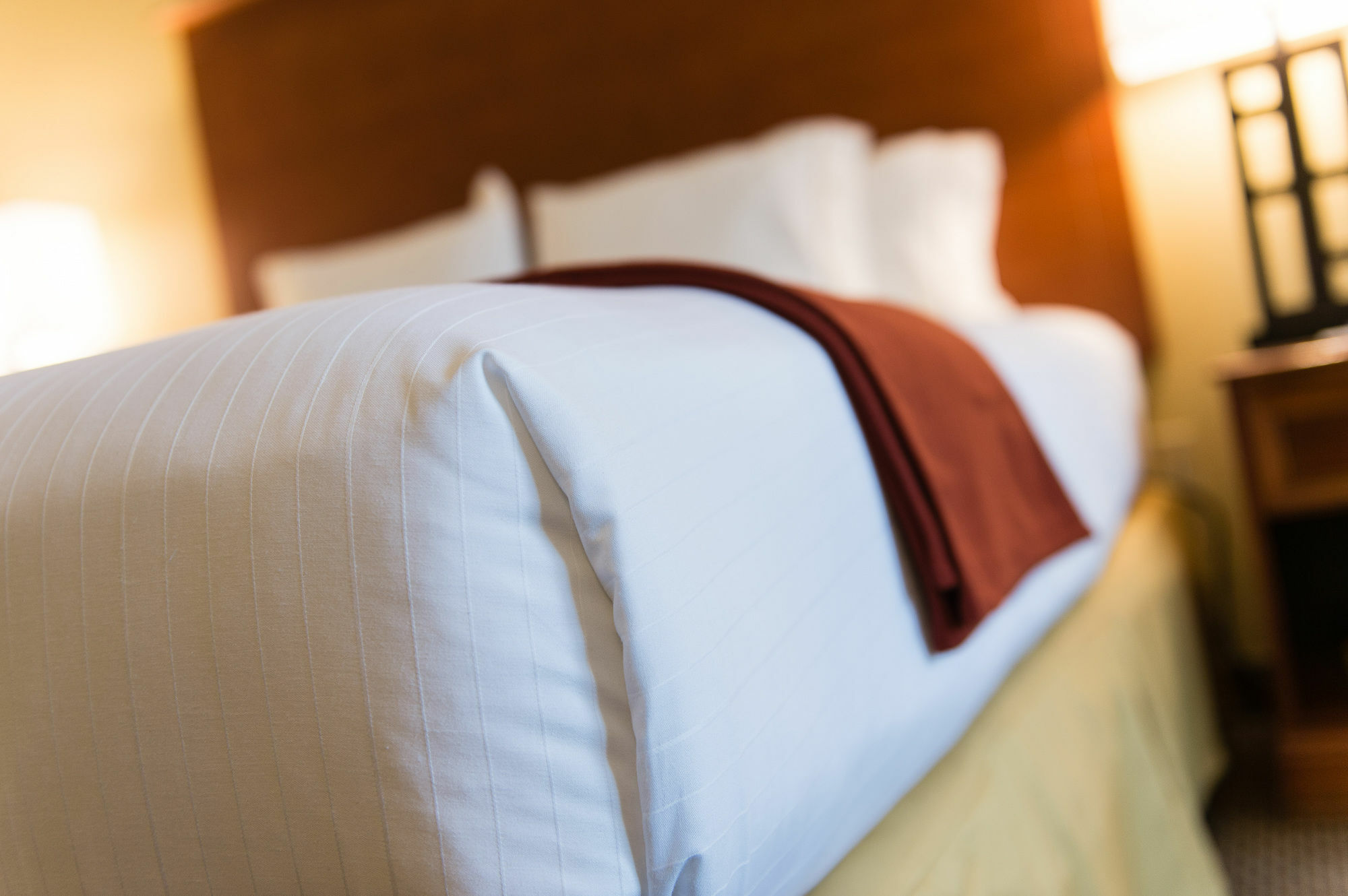 Holiday Inn Express & Suites Columbia-I-26 @ Harbison Blvd By Ihg Экстерьер фото